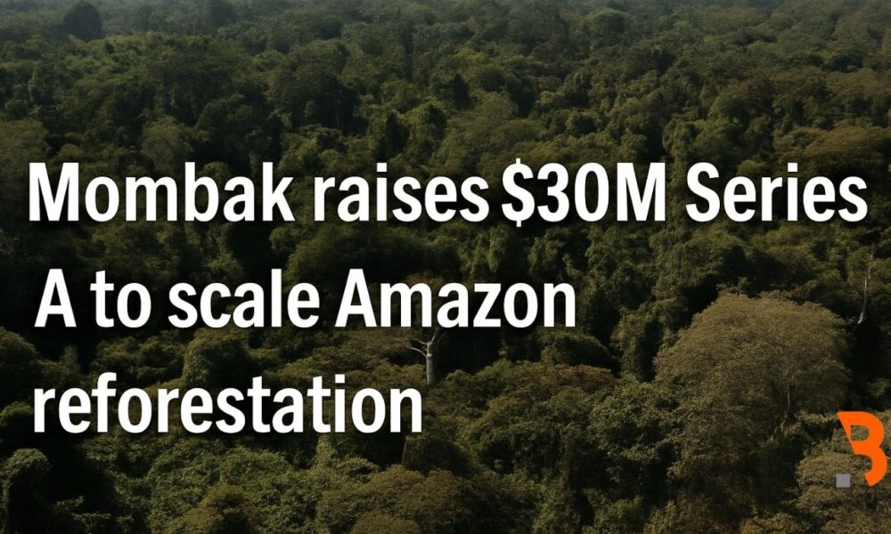 Mombak raises $30M Series A to scale Amazon reforestation – floresta Amazônica, investimento em reflorestamento no Brasil