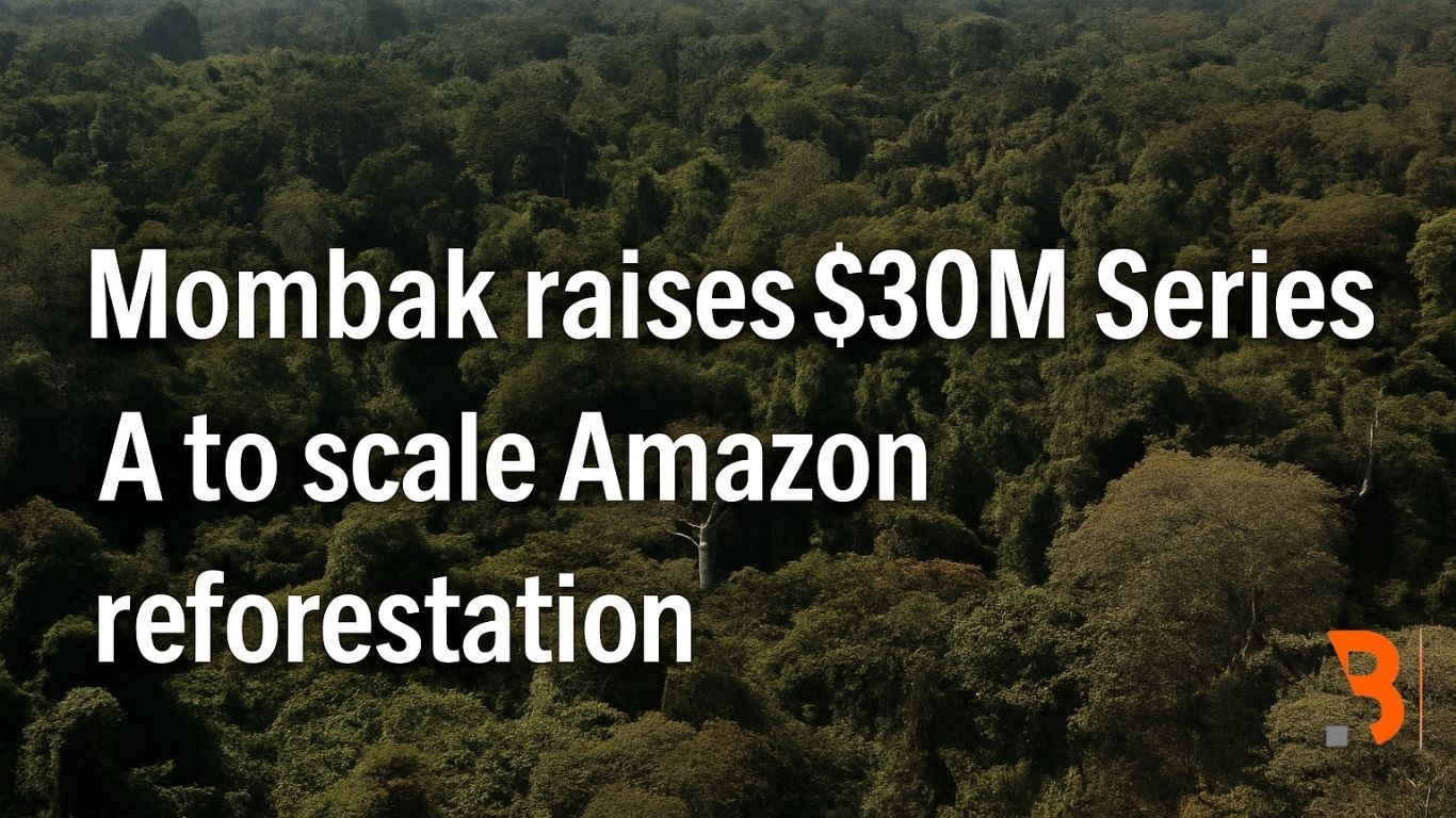 Mombak raises $30M Series A to scale Amazon reforestation – floresta Amazônica, investimento em reflorestamento no Brasil